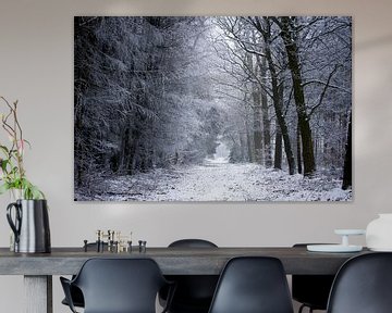 Paysage d'hiver en Drenthe sur Karijn | Fine art Natuur en Reis Fotografie