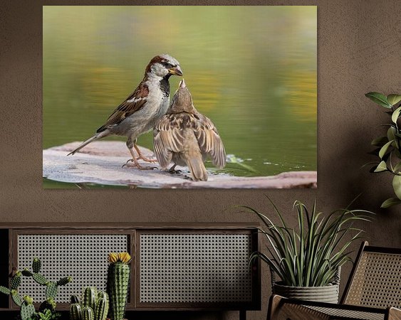 Voorbeeld van het werk in een kamer