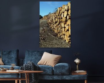 houtblokken die onderweg zijn gekapt in Schotland van Babetts Bildergalerie