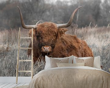 Schotse Hooglander in rust van Ans Bastiaanssen