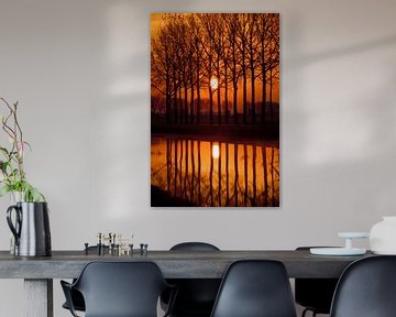 The rising sun along the river Linge in the municipality of Overbetuwe. by Jurjen Jan Snikkenburg
