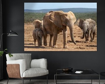 Elephant family by Martin van der Kruijk