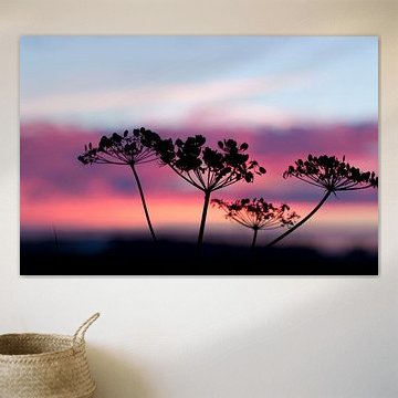 beerenklauw by Trijnie Kalsbeek van