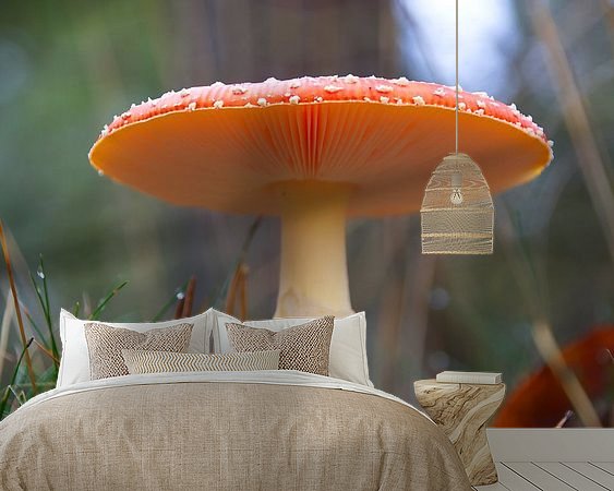 Aperçu de la chambre