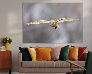 Chouette effraie volante (Tyto alba) sur Beschermingswerk voor aan uw muur