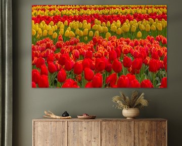 Tulpen rood en geel van Andy Luberti