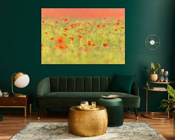 Poppies miniature landscape by Andy Luberti