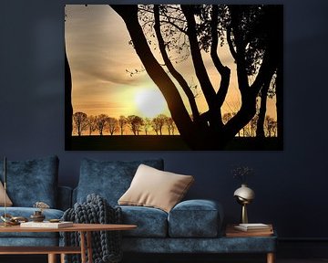 Branches at sunset