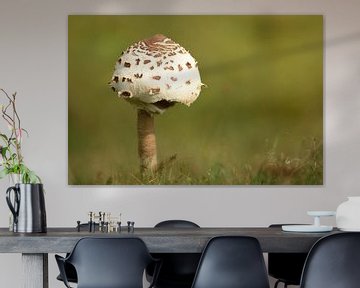 Mushroom by John Leeninga