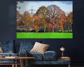 Autumn country
