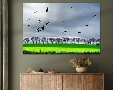 Crow family