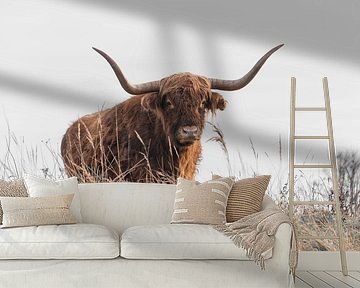 Neugieriger schottischer Highlander