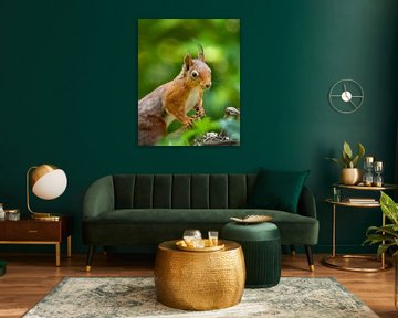 Red squirrel portrait by Karla Leeftink