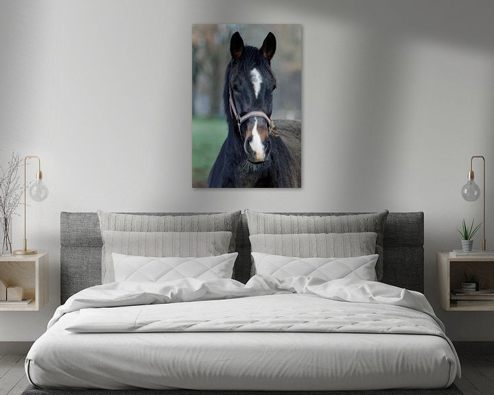 Beispiel: Das schwarze Pferd von Anjo ten Kate