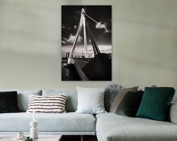 Erasmus Bridge Rotterdam
