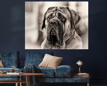 Portret van een hond. van Rob Boon