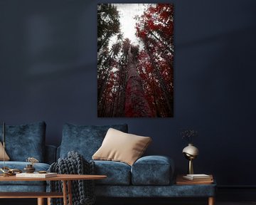 Roter Herbstwald von Toni Stauche