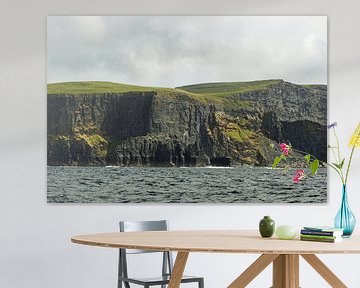 Cliff's of Moher - Irlande sur Babetts Bildergalerie