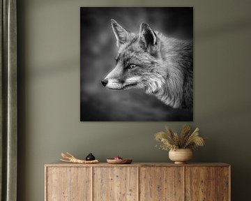 Portrait of a fox in black and white by Marjolein van Middelkoop