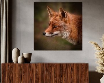 Portrait d'un renard sur Marjolein van Middelkoop