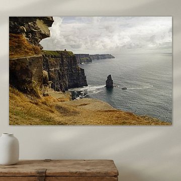 Cliffs of Moher - Ireland