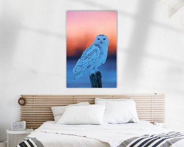 Female Snowy Owl female (Bubo scandiaca) by Beschermingswerk voor aan uw muur