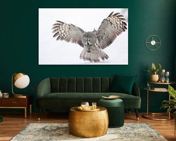 Hunting Great Grey Owl (Strix nebulosa) by Beschermingswerk voor aan uw muur