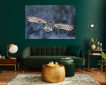 Flying Great Grey Owl (Strix nebulosa) by Beschermingswerk voor aan uw muur
