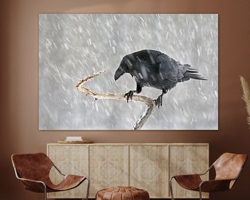 Raaf (Corvus corax) in een sneeuwbui van Beschermingswerk voor aan uw muur