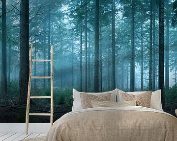 Early morning Spruce Forest by Jeroen Lagerwerf