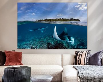Two Worlds by Norbert Probst