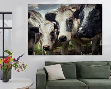 Three Cows In A Row van Urban Photo Lab