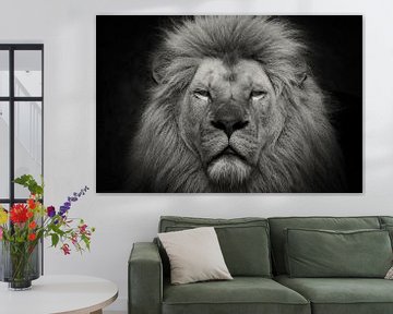 Nahaufnahme Löwe in Schwarz-Weiß von Dennis Schaefer