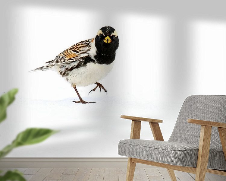 Raumvorschau