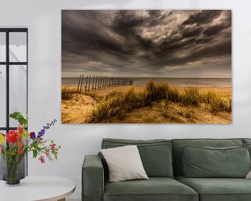 Texel strand van Andy Luberti