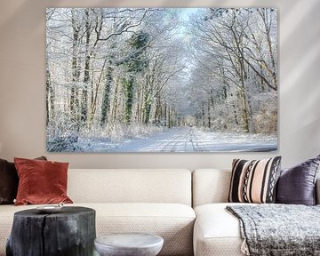 Texel im Schnee von Peter Schoo - Natuur & Landschap