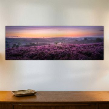 August heather fields by Jeroen Lagerwerf