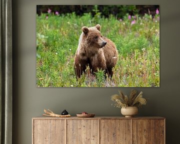 Grizzly bear in a meadow by Roland Brack