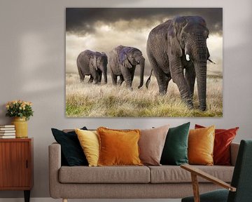 Elephant parade by Marcel van Balken