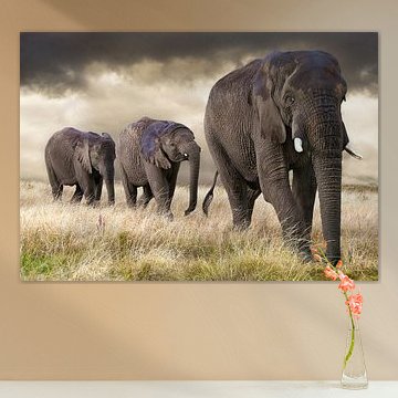 Elephant parade by Marcel van Balken