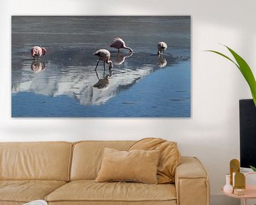 flamingos in zoutmeer van Marieke Funke