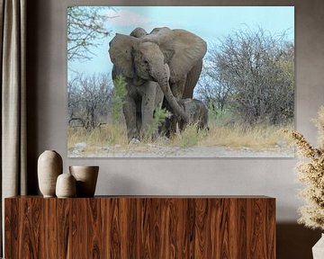 Elefantenfamilie in Etoscha von Marieke Funke