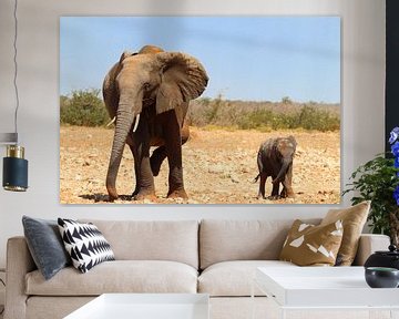 Olifanten in Etosha van Marieke Funke