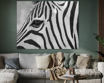 zebra van Marieke Funke