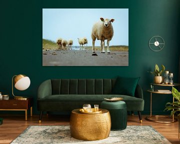 Sheep on Ameland by Génol de Jong