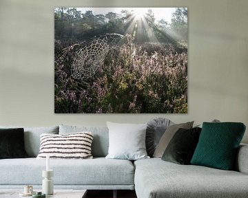 Morgensonne auf den Dünen von Loonse und Drudense von Jasmijn Fotografeert