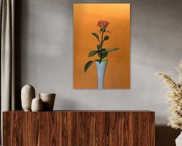 Rote Rose in weißer Vase mit orangem Hintergrund von W J Kok