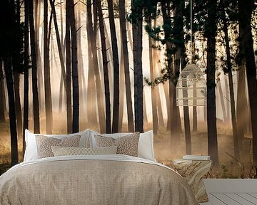 Pine forest by Bert Kok