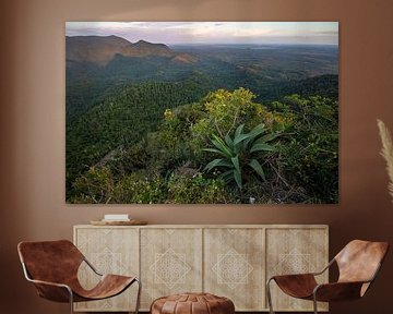 Uitzicht over het oerwoud van de Sierra del Rosario vanaf een hoog punt van Nature in Stock