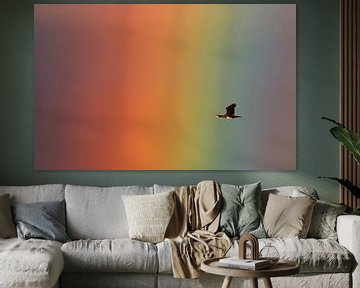 Aalscholver met regenboog van Beschermingswerk voor aan uw muur